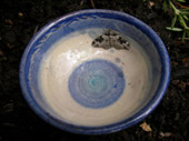 bowl with real butterfly